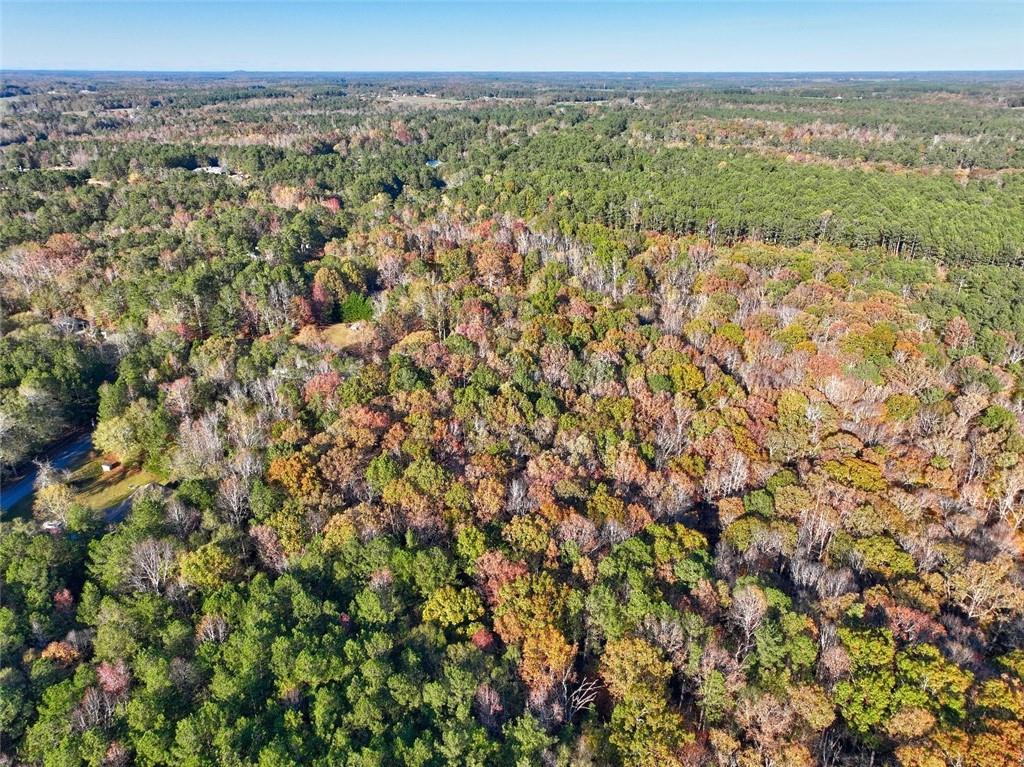 Browning Shoals Road, Social Circle, Georgia image 2