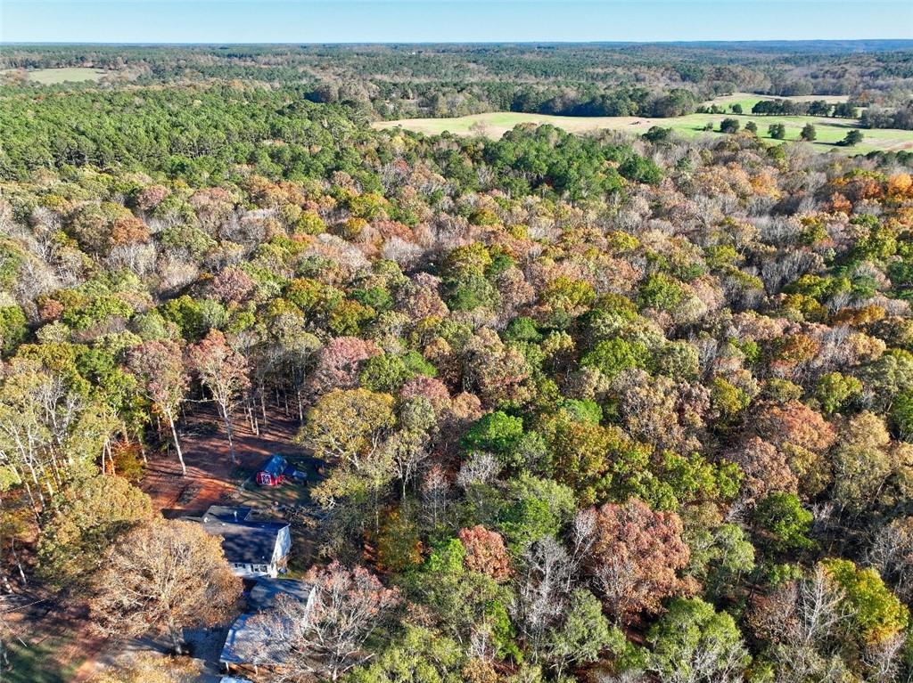 Browning Shoals Road, Social Circle, Georgia image 4