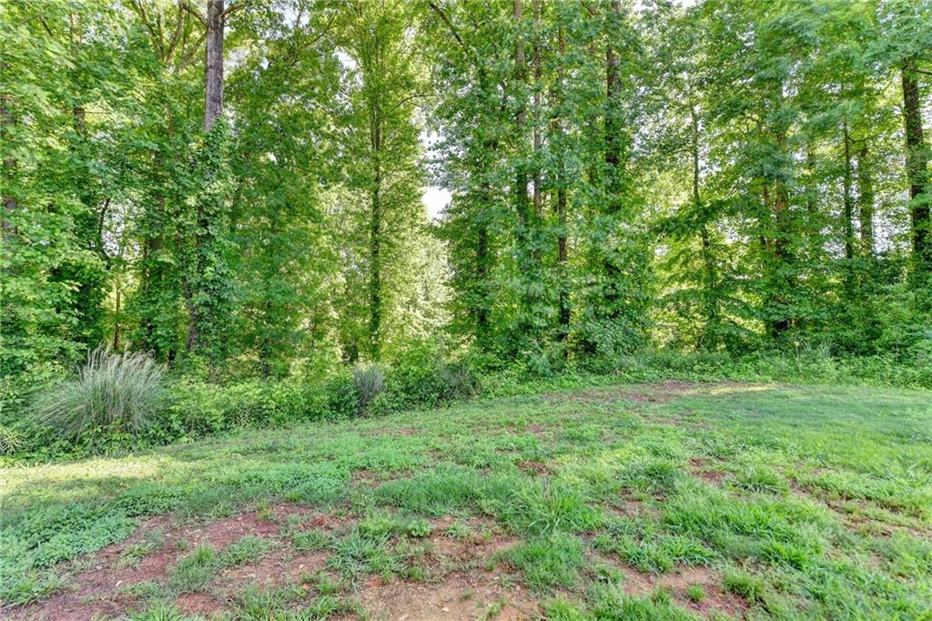 1553 Shoal Creek Drive, Winder, Georgia image 43