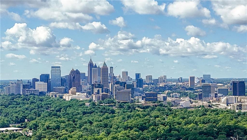 2479 Peachtree Road #1801, Atlanta, Georgia image 32
