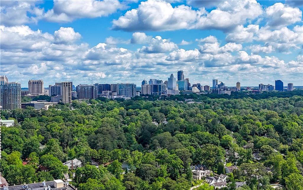 2479 Peachtree Road #1801, Atlanta, Georgia image 31