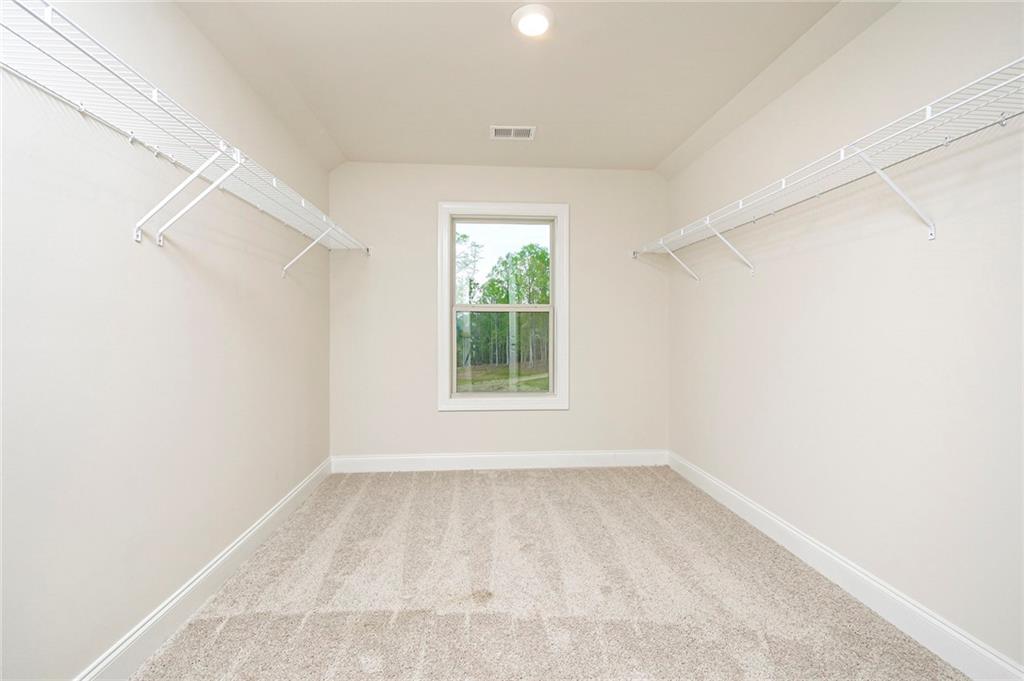 211 Lotus Lane, Covington, Georgia image 30