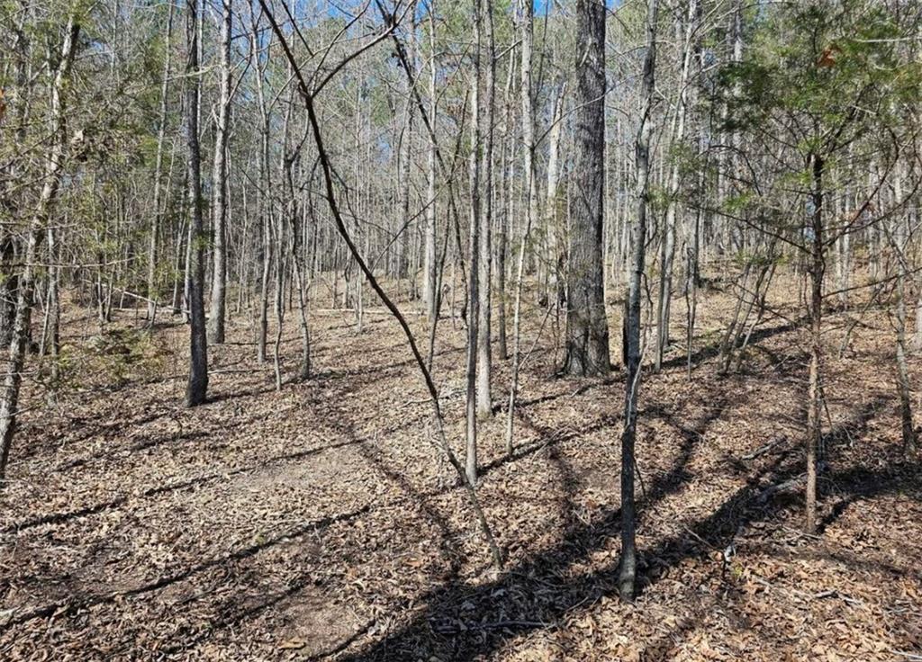 Prior Station Road, Cedartown, Georgia image 10