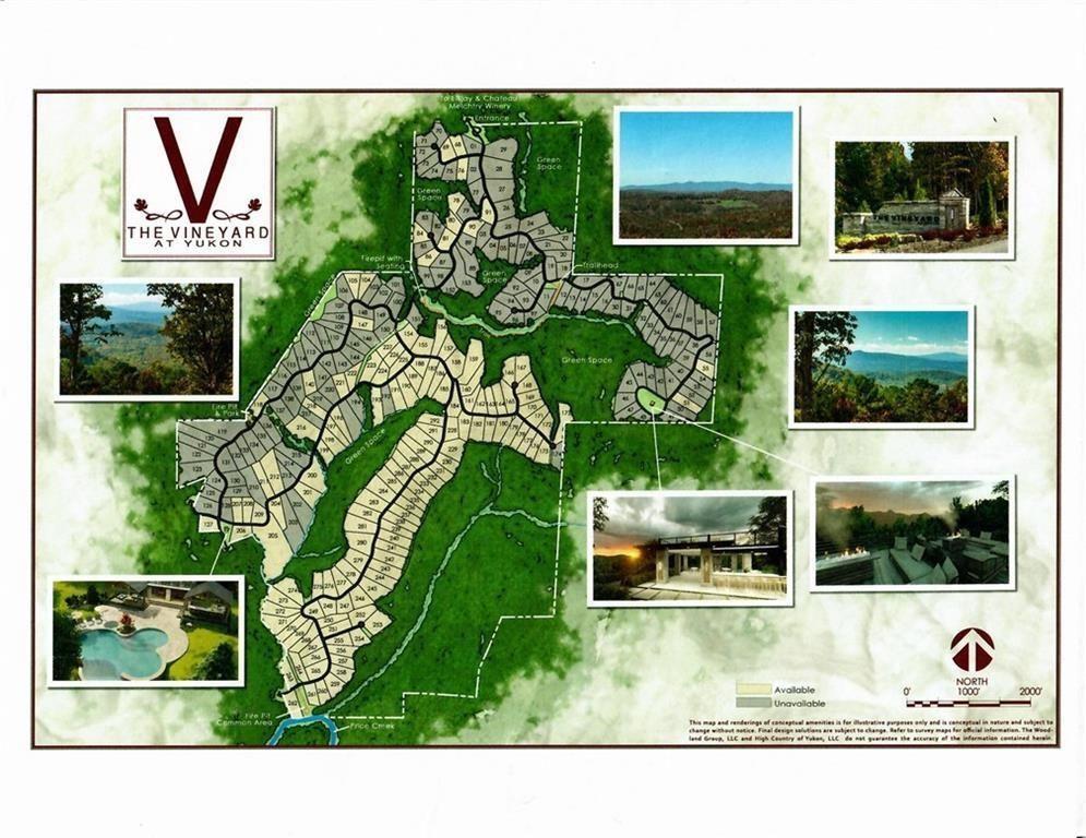 L349 The Vineyard At Yukon, Ellijay, Georgia image 11