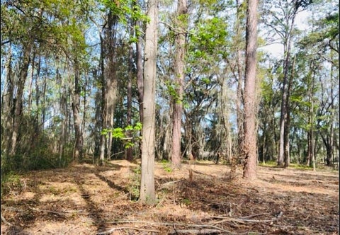 Vacant Land For Sale - 0000 W Black Island Road<br/> Darien, GA 31305