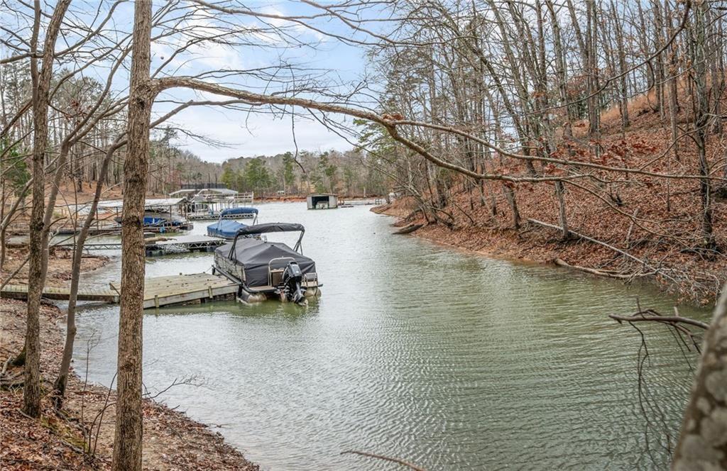 5990 Warpath Road, Flowery Branch, Georgia image 3