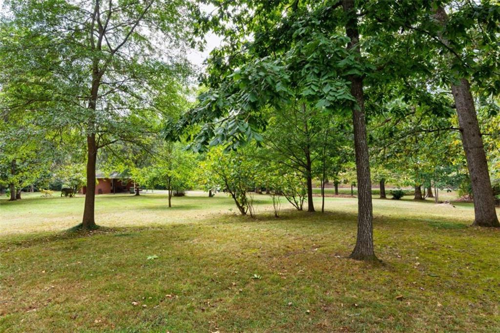HAMMOND WOODS - Land