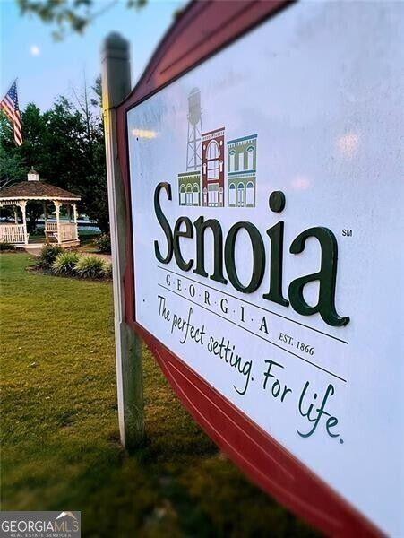 124 Morgan Street #D, Senoia, Georgia image 20