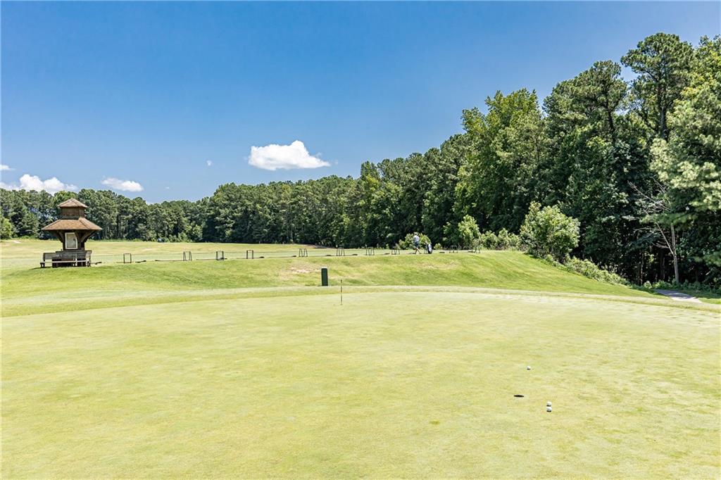 307 Downing Creek Trail, Canton, Georgia image 42