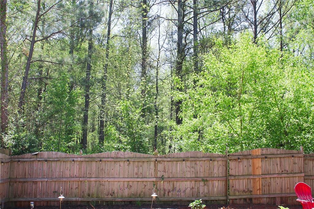 307 Downing Creek Trail, Canton, Georgia image 36