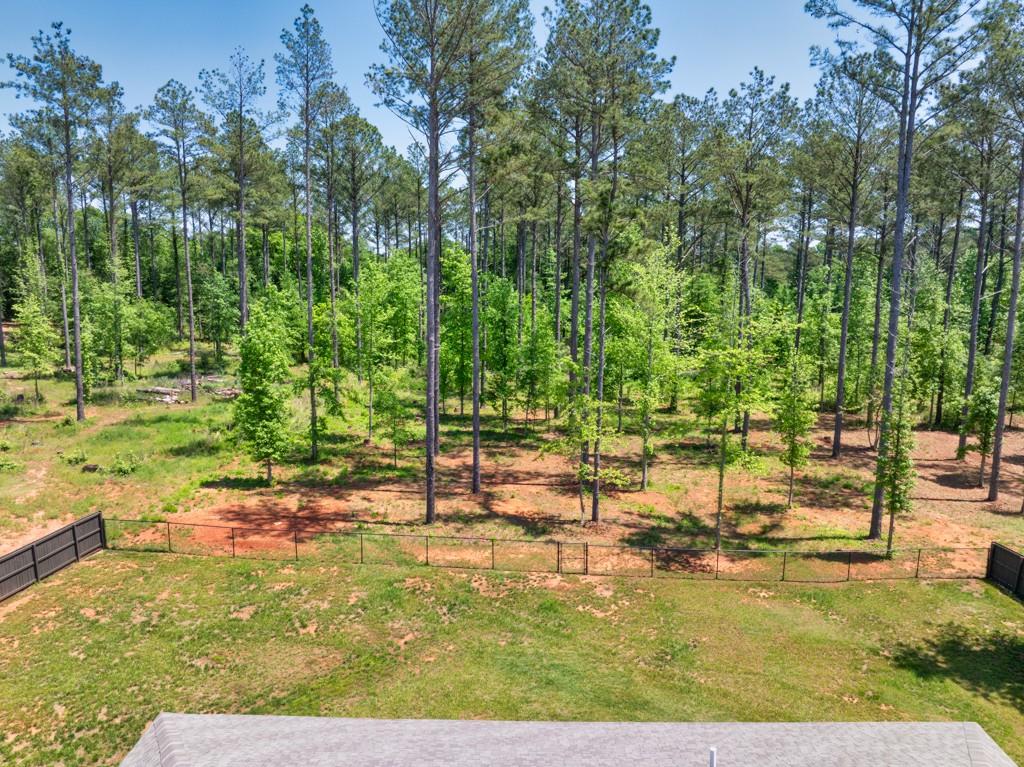 233 Jim Daws Road, Monroe, Georgia image 29