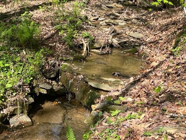 003 Swan Bridge Road