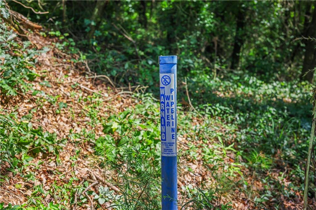 Charleston Drive, Rome, Georgia image 15