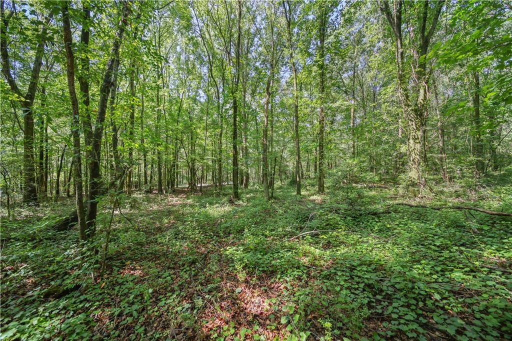 Lot 2 Lord Road