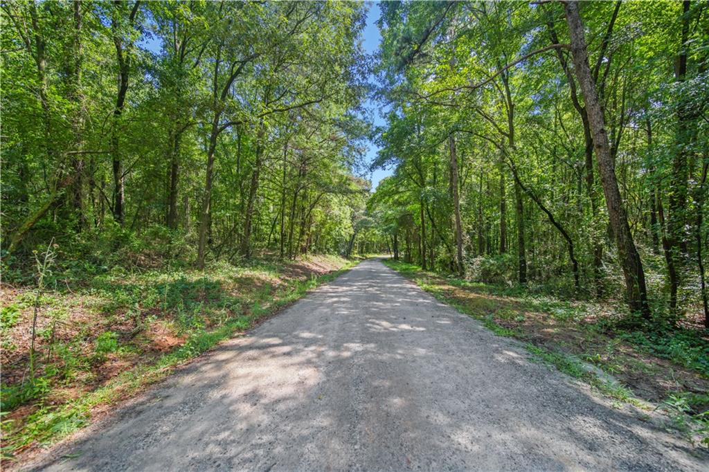 Charleston Drive, Rome, Georgia image 16
