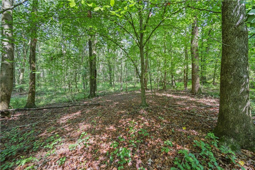 Lot 2 Lord Road