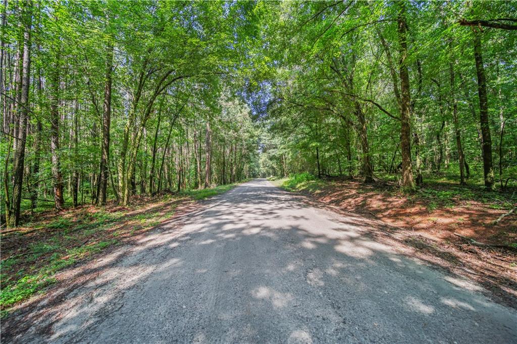 Charleston Drive, Rome, Georgia image 7