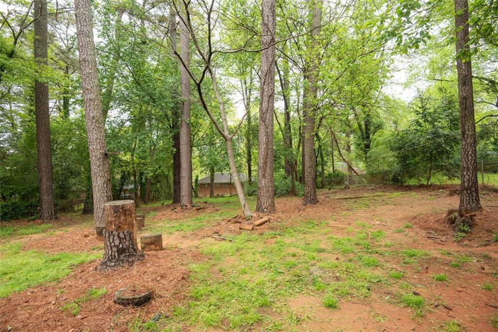 4322 Glenwood Parkway, Decatur, Georgia image 20