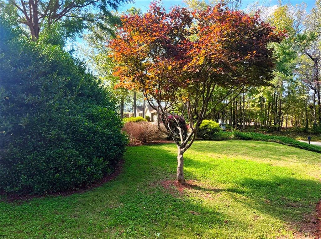31 Williamsburg Drive NW
