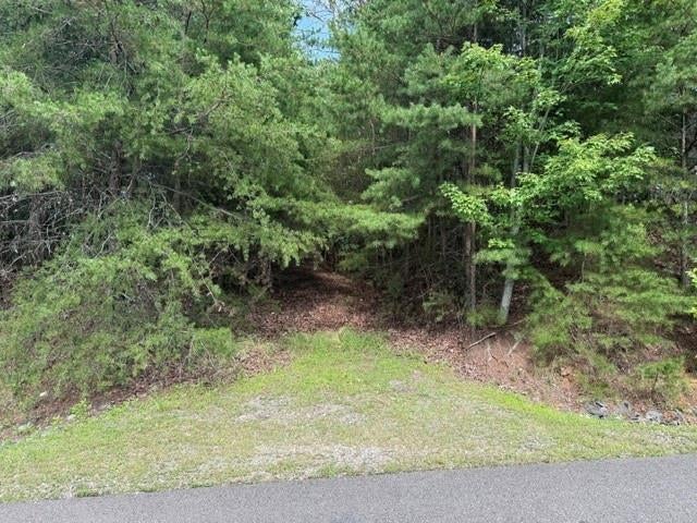 0 Owl Ridge Way