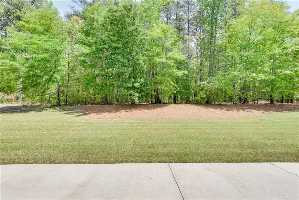 2417 Saint Feagin Place, Powder Springs, Georgia image 9