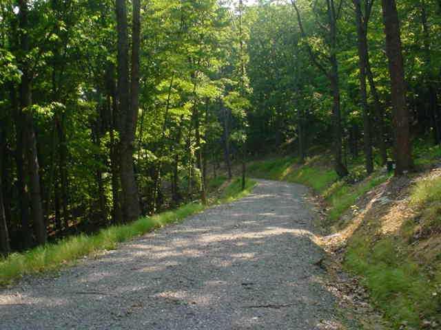 Amazing views as you enter this lot on a private,wooded,winding driveway. Great building site that will give you long distant views, lots of nature surroundings, easy access to highway for commuting needs, & more. A wonderful community that has nice walking trails,ponds,creeks,pavillion for outdoors