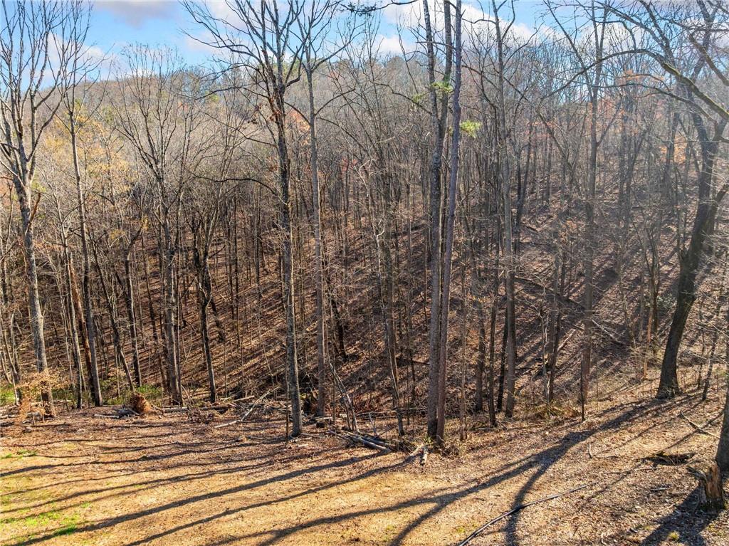 415 Woods Road, Talking Rock, Georgia image 26