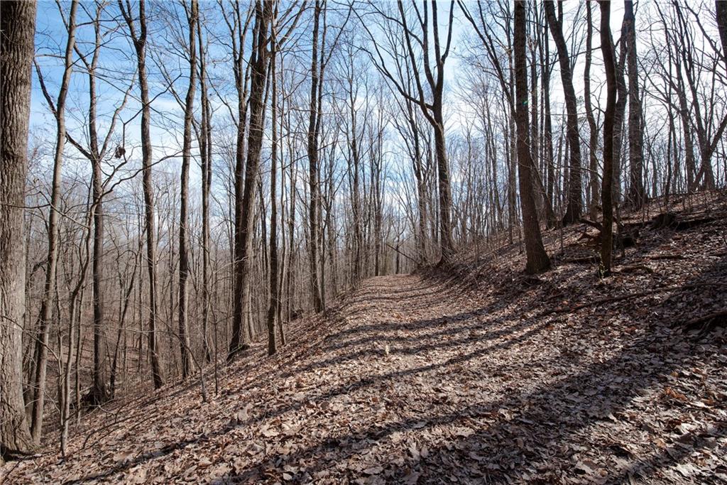 86.99 Acres Mincie Mountain