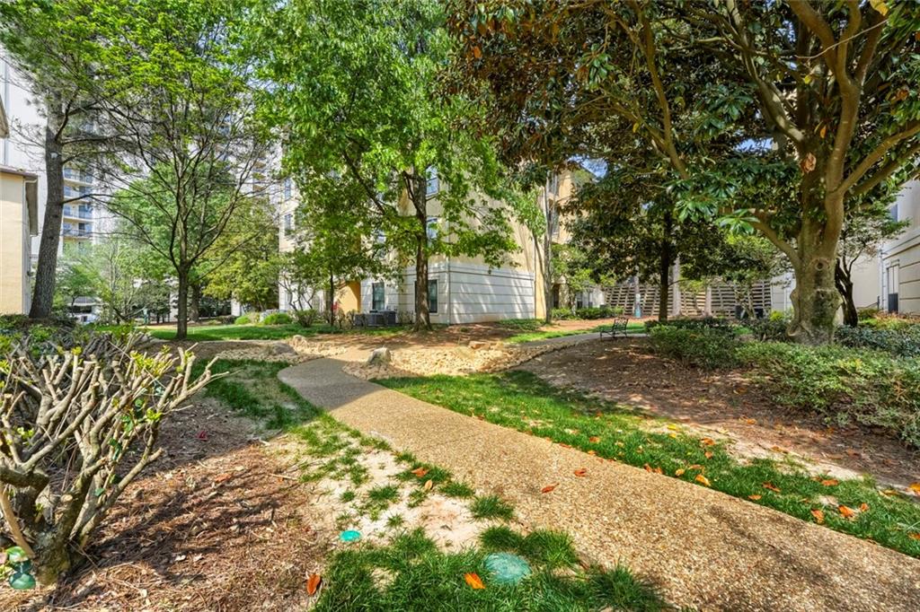 3777 Peachtree Road NE 1205