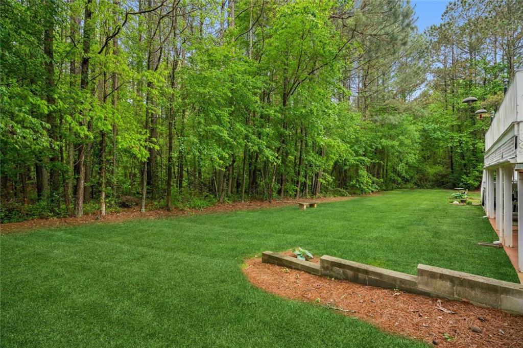 208 Meadows Court, Dawsonville, Georgia image 40