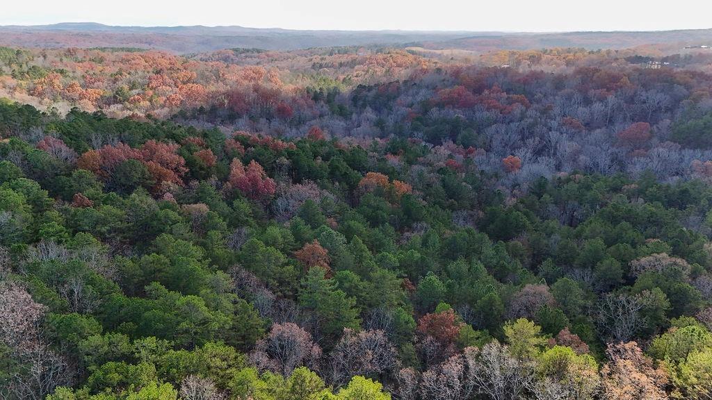 00 Rockhouse Road, Waleska, Georgia image 13