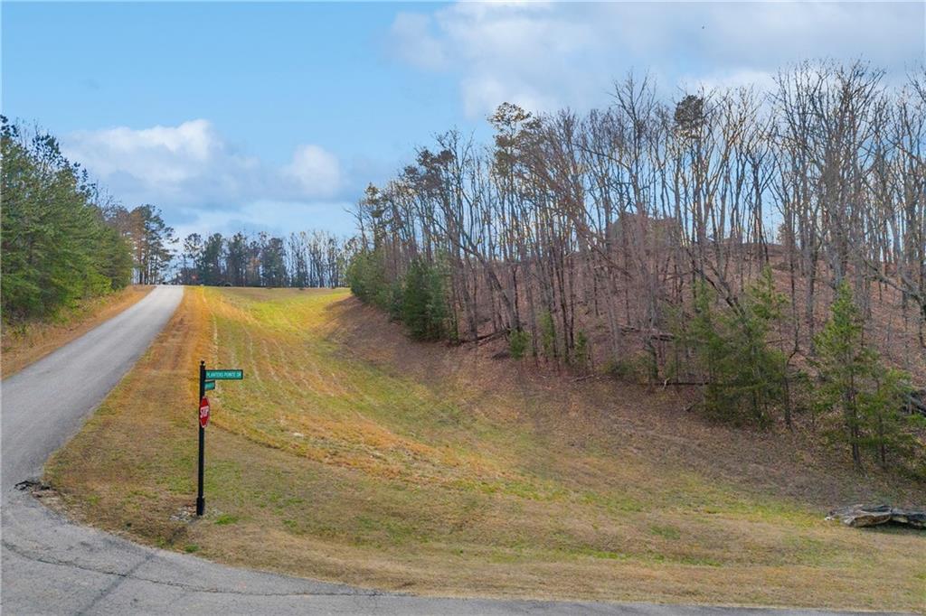 01 Planters Pointe Drive, Baldwin, Georgia image 25