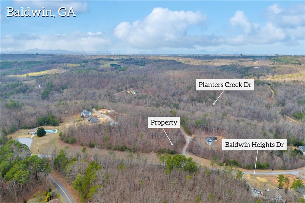 01 Planters Pointe Drive, Baldwin, Georgia image 18