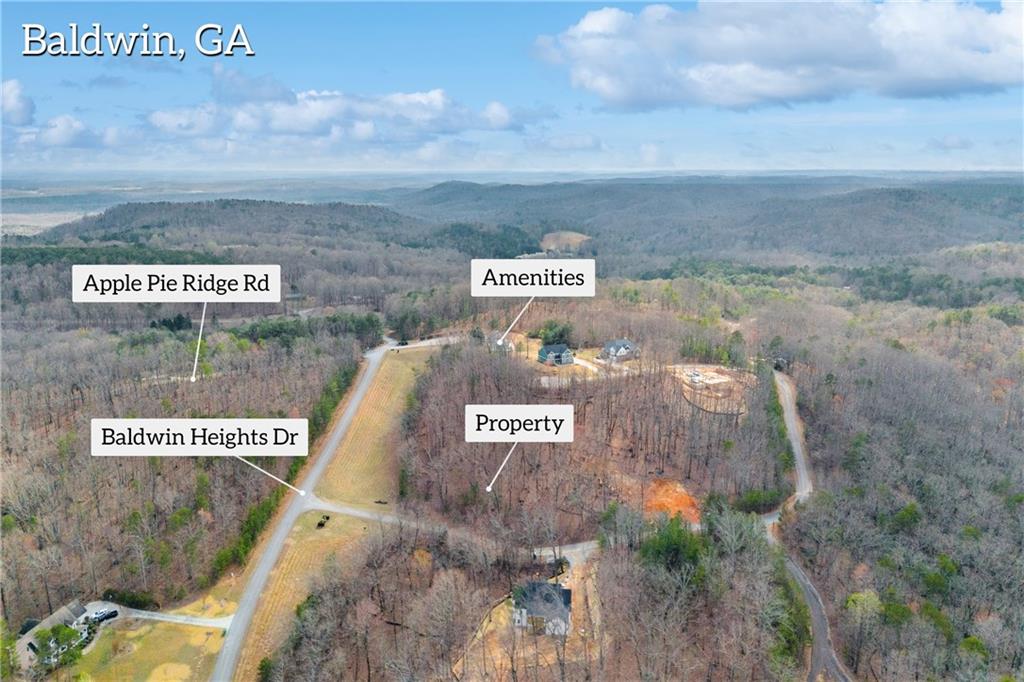 01 Planters Pointe Drive, Baldwin, Georgia image 12