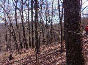 8112 Disharoon Drive