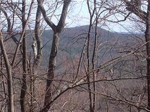 8112 Disharoon Drive