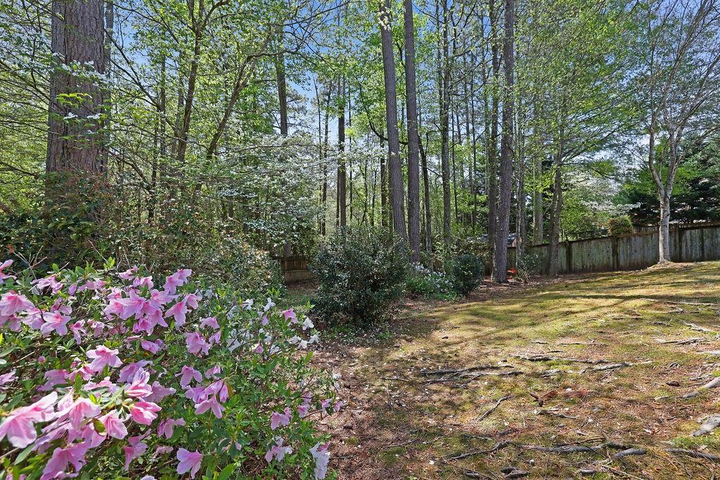 302 Wickley Way, Woodstock, Georgia image 42