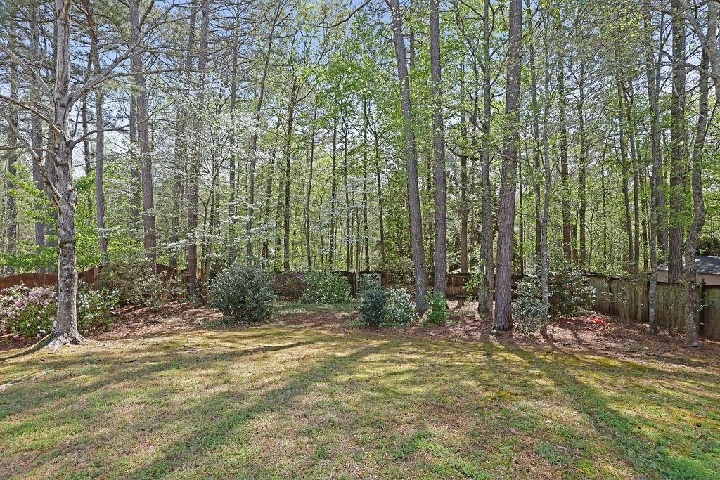 302 Wickley Way, Woodstock, Georgia image 40