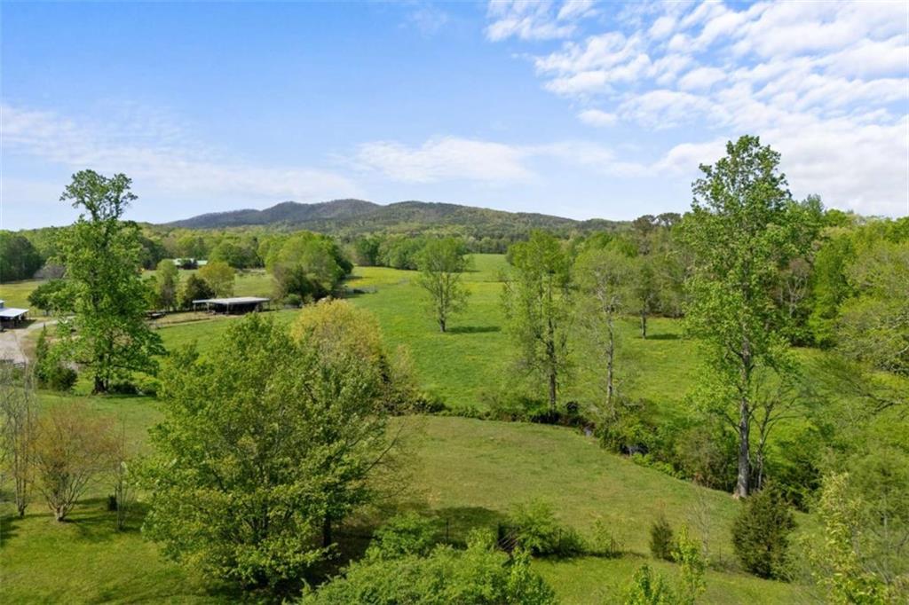 197 Rutledge Drive, Sugar Valley, Georgia image 33