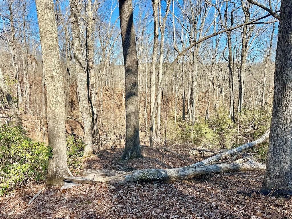 Photo of 6770 Winding Canyon Road, Flowery Branch, GA 30542 (MLS # 7704836)