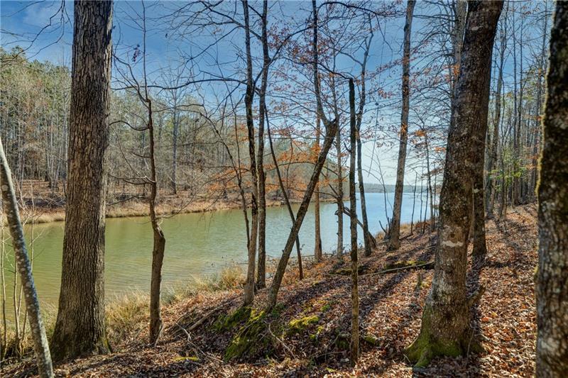 689 Moccasin Gap Road