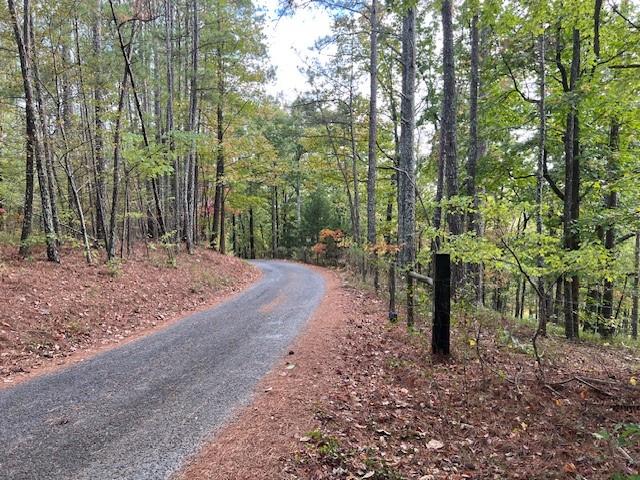 100 Valley View Drive, Cartersville, Georgia image 8