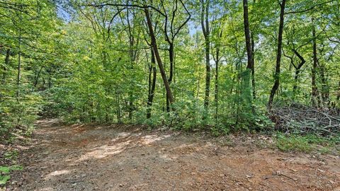Vacant Land For Sale - 23 B Lake View Road<br/> Cherry Log, GA 30522
