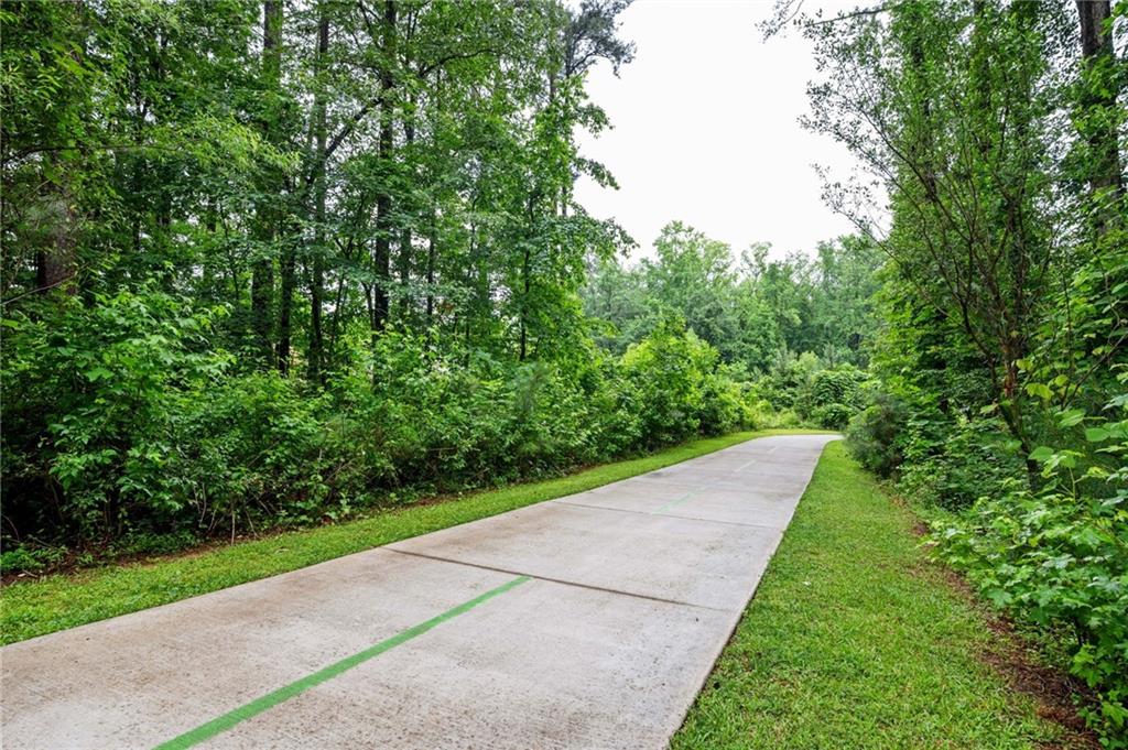 47 Ulsh Park Drive, Newnan, Georgia image 28