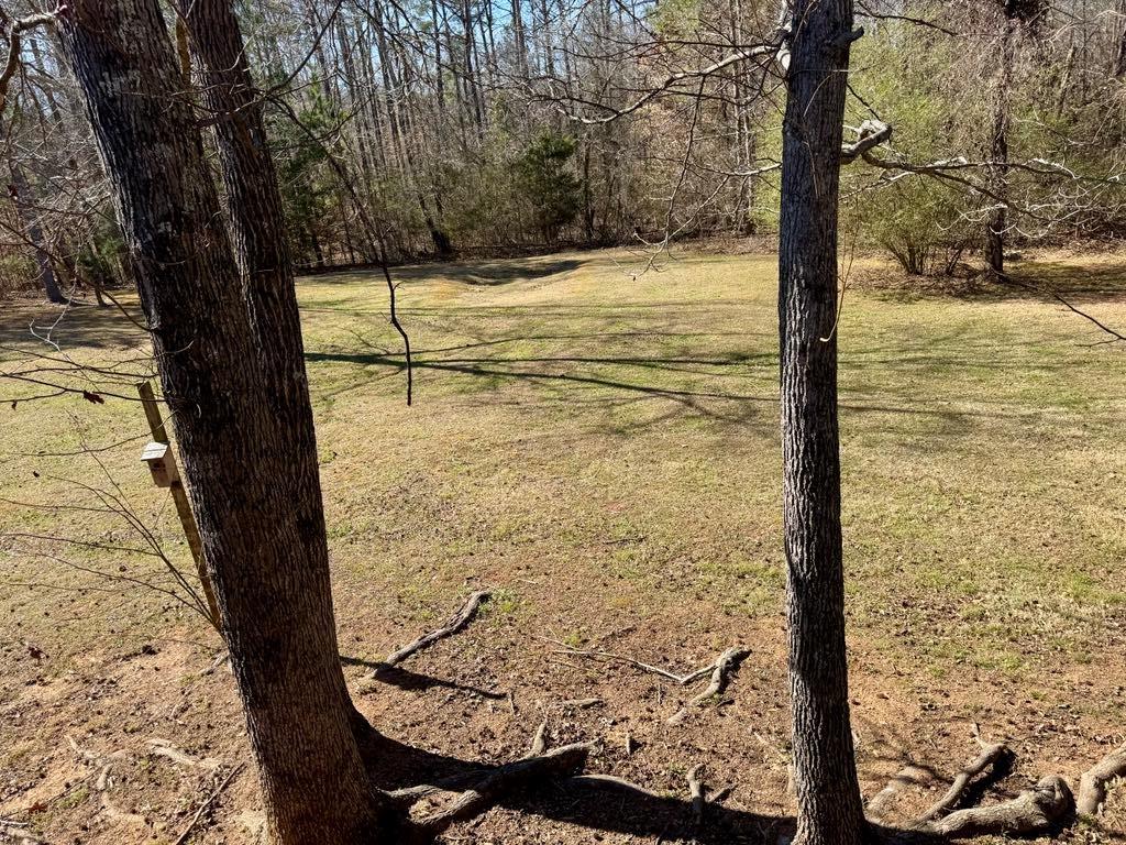 324 Peaceful Loop, Chatsworth, Georgia image 11