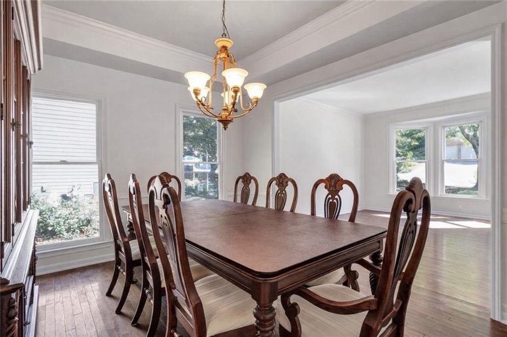 1895 OAK TREE Hollow