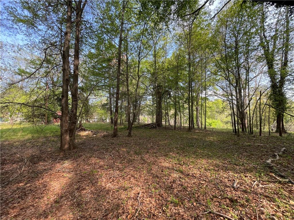 00 Demorest Mt Airy Highway, Demorest, Georgia image 7