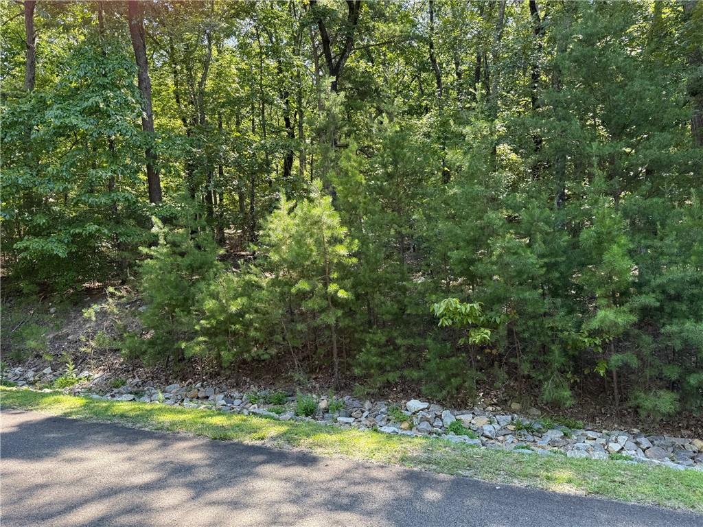 311 Stonehaven Court