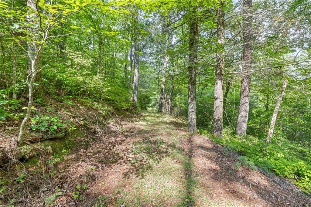 Cleveland, Georgia 30528, United States, 4 Bedrooms Bedrooms, ,2 BathroomsBathrooms,Residential,Active,47862