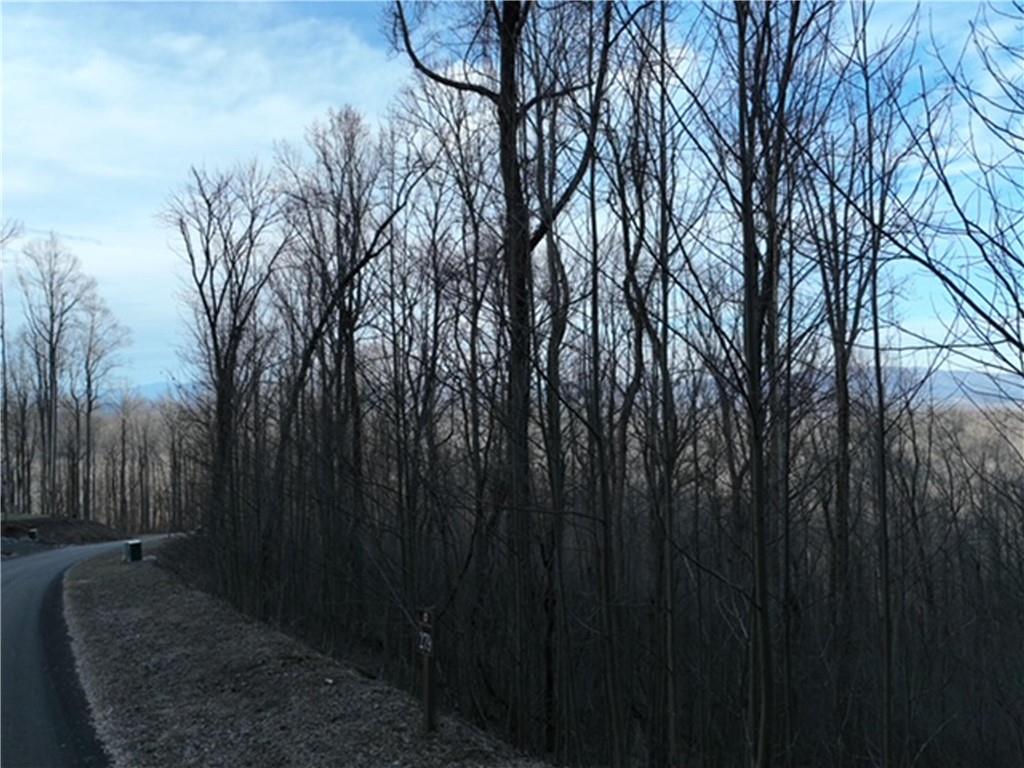 279 Andes Ridge